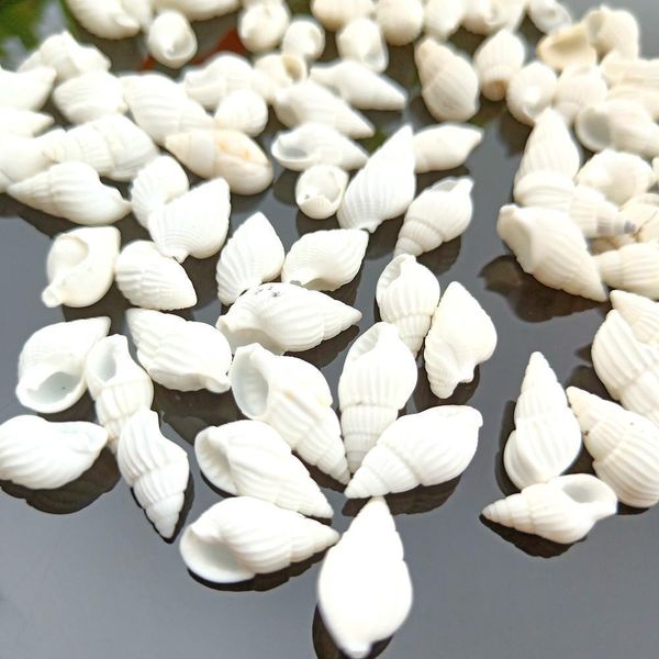 

100pcs natural snail shell aquarium decoration mini white conch seashell diy crafts for party beach wedding home decor nautical h wmtdpg