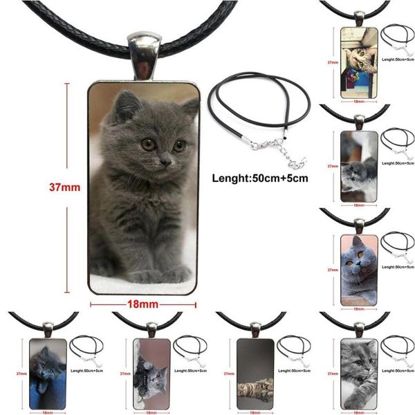 

for fashion glass cabochon pendant necklace with women steel plated statement jewelry gray cat with a zenit camera, Silver