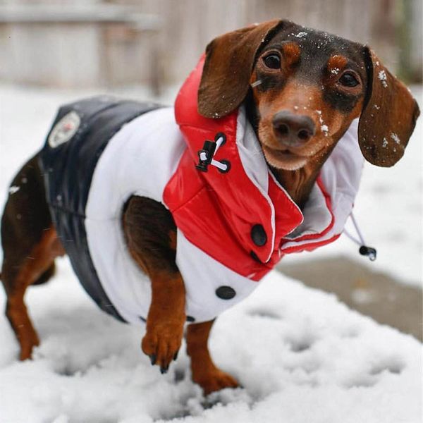 

outerwears fashion brand dogs classic stripe down vest jackets winter thicken teddy schnauzer warmer coats pets clothes