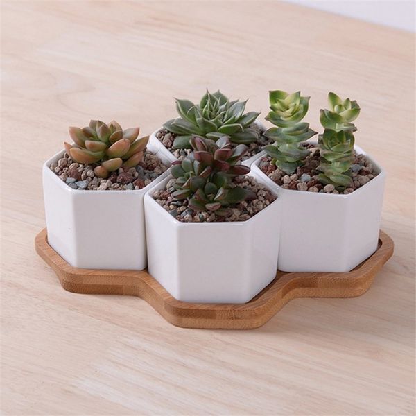 4pcs Altıgen Flowerpots Beyaz Seramik Etli Bitki Pot Bambu Stand Küçük Bonsai Tencereler Yeşil Ekiciler Ev Dekoru Y200709