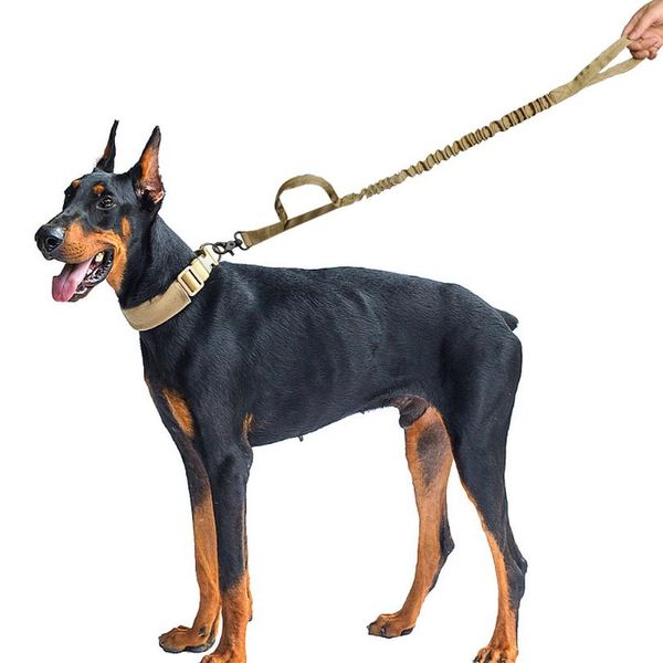 

army tactical dog leash nylon bungee leashes pet military lead belt training running leash for medium large dogs german bbynks