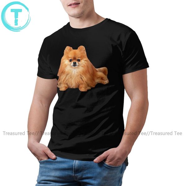 

pomeranian pomeranian 4xl printed streetwear fun short sleeve hoodie designers t shirts sweatshirt