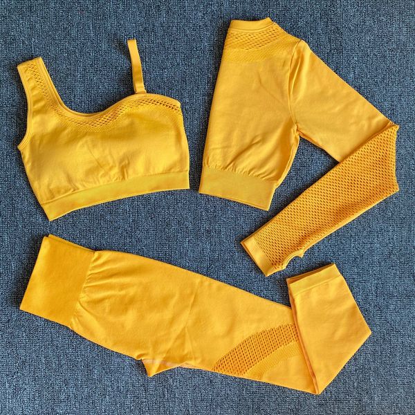 

бесшовные yoga set половая женщина спортивная одежда 3 частей с длинным рукавом урожай + тренажерный зал леггинсы + спортивные бюстгальтеры, Gray