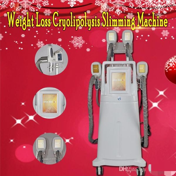 

2019 new version portable cryolipolysis fat ing slimming machine cryotherapy ultrasound 4 handles can work together
