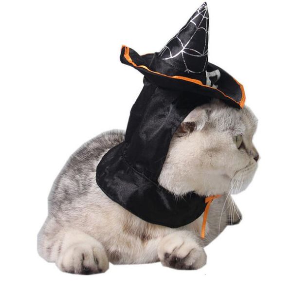 

cosplay black cat magic dress fancy 1pc wizard/witch's hat +scraf set halloween pet costumes