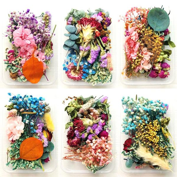 

decorative flowers & wreaths 1 box real mix dried plant for resin jewellery dry plants pressed making craft diy po frame accessories