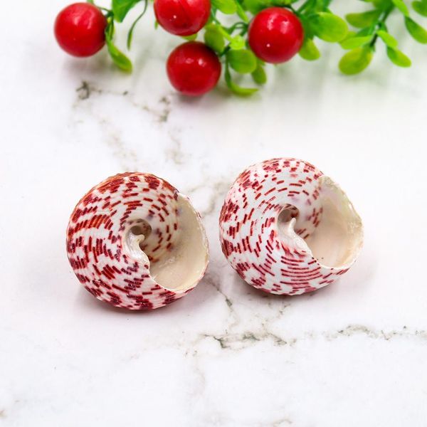 

1pc natural strawberry conch seashells craft shells specimen nautical decor wedding beach ornaments aquarium landscape h jllvlz