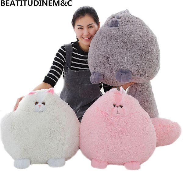 

30cm/50cm cute persian simulation doll, fat cat plush toys, simulation plush stuffed animals, children's toy gifts
