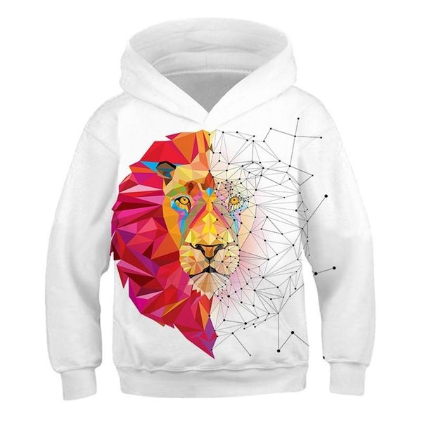 

3-14 years 3d print lion boys animal hoodies teens autumn hooded sweatshirt for boys kids clothes long sleeve pullover lj201216, Black