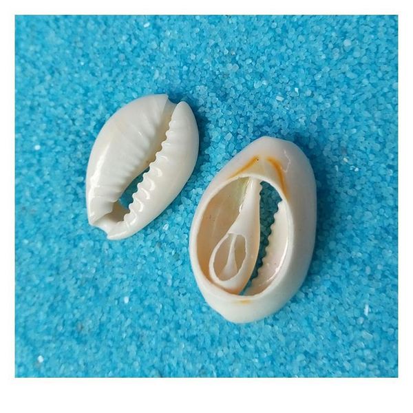 

50pcs light yellow natural sea shell loose beads accessories for diy bracelets ornaments home fish tank conch qylxeu