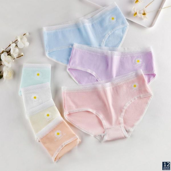 

12 pcs/lot wholesale breathable underpants women underwear mid-rise lace girls ladies panties lingerie briefs yzt w-61, Black;pink