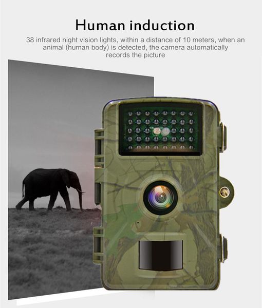 

1080p дикой природы trail camera photo trap инфракрасная охота камеры dl001 беспроводной слежения камеры наблюдения