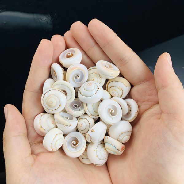 

15 20mm 10pcs natural spiral seashells bead conch head nautical decor beach wedding decorations necklace diy jewelry making h jlluvd