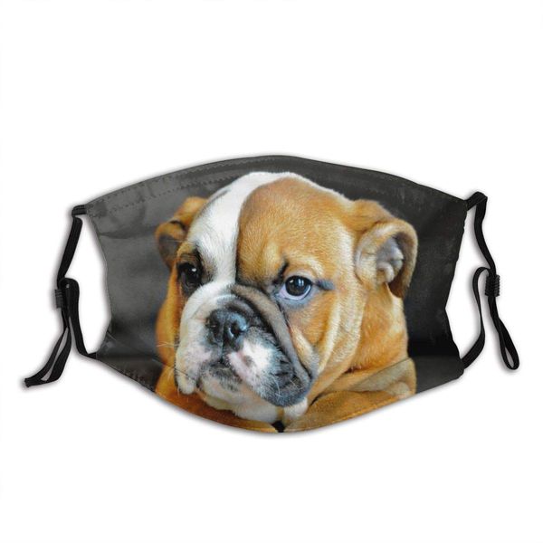 

large unique english bulldog puppy dog face mask with pocket washable face bandanas balaclava reusable fabric mask with 2 pcs filter