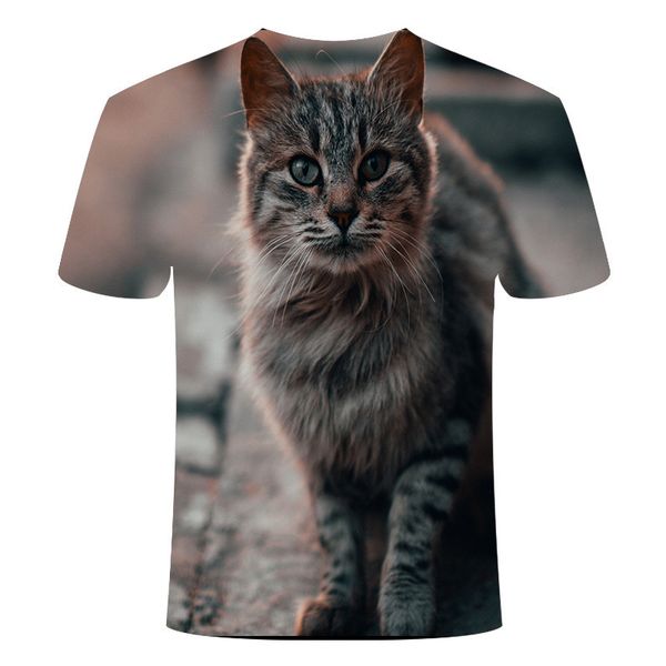 

new cool printing two cat summer t-shirt printing t-sh 3d print shirts kawaii plus size anime men clothing