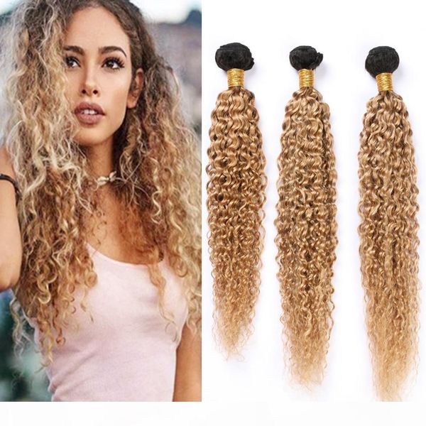 

ombre honey blonde kinky curly peruvian human hair extensions dark root #1b 27 ombre virgin hair weave wefts light brown ombre 3bundles lot, Black
