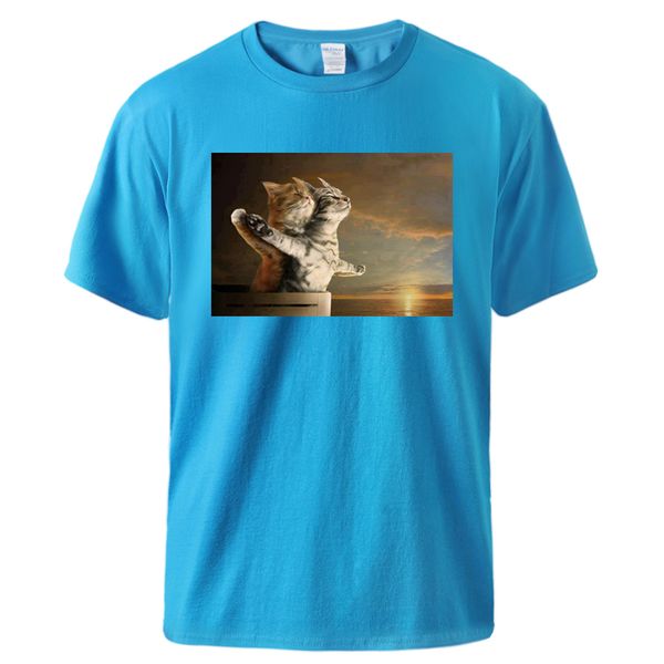 

titanic funny cat tshirt new arrival short sleeve sportswear tee homme casual tee sport hooded sweatshirt hoodie men t shirt