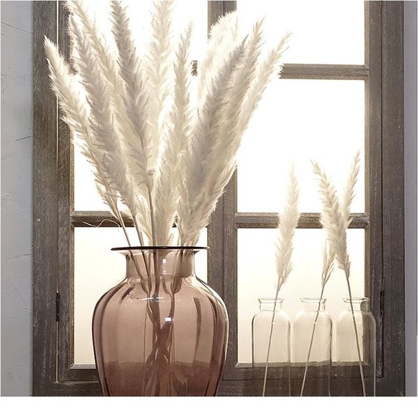 

bulrush натуральные высушенные маленькие пампас трава фрагмиты искусственные растения свадебный цветочный пучок для домашнего декора поддель