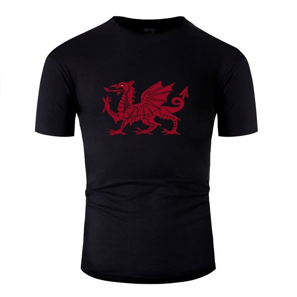 

vintage welsh dragon symbol of wales men fitness short sleeve cute men hiphop s hoodie designers t shirts sweatshirt