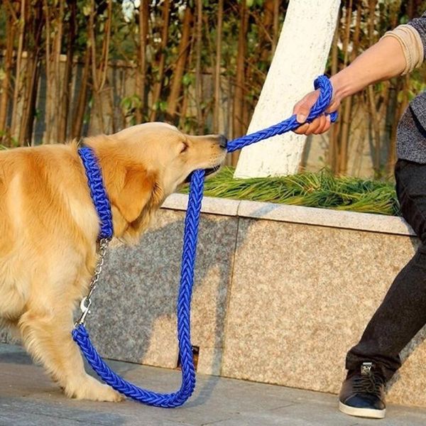 

double strand rope large dog leashes upgraded colorful collar stereotyped rope pet traction collar set for big dogs