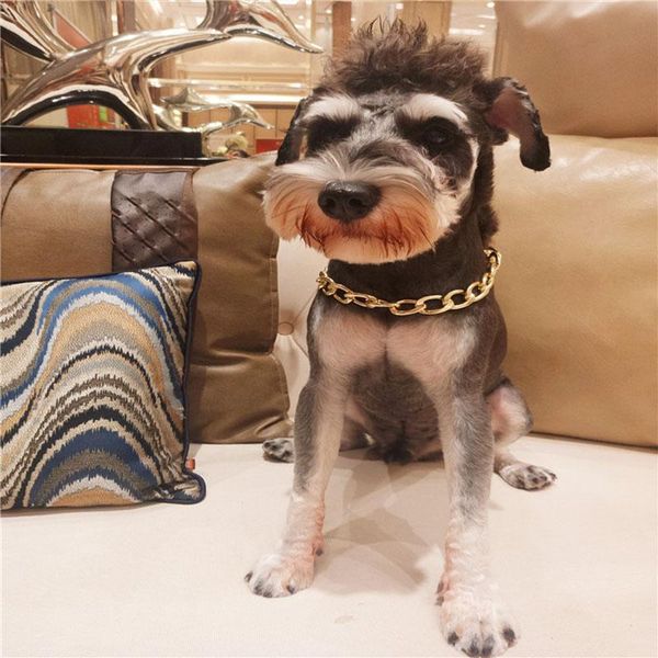 

малые собаки закуска цепи французского бульдога ожерелье собаки pet принадлежности собаки воротник жировые собак ожерелье животные продукты