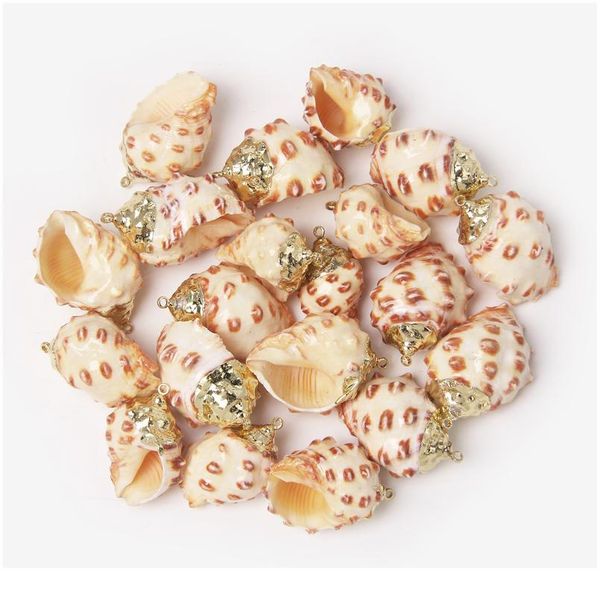 

27 styles 5pcs natural shell pendant conch shell charms pendant for diy earring necklace jewelry making finding accessor jllhui, Black