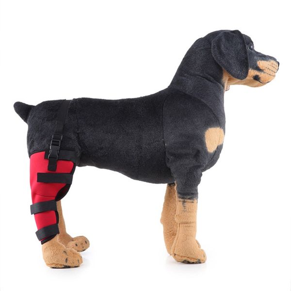 

protective clothing pets posrative surgery recovery hind leg foot protection tool dog walk auxiliary appliance selling 17mq3 p1