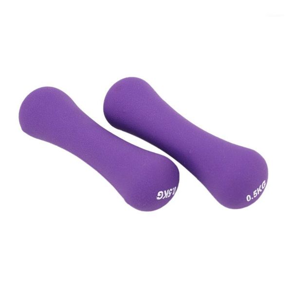 

integrated fitness equip 0.5kg dumbbells hand weights equipment for home body building dumb bell exercise dumbell1