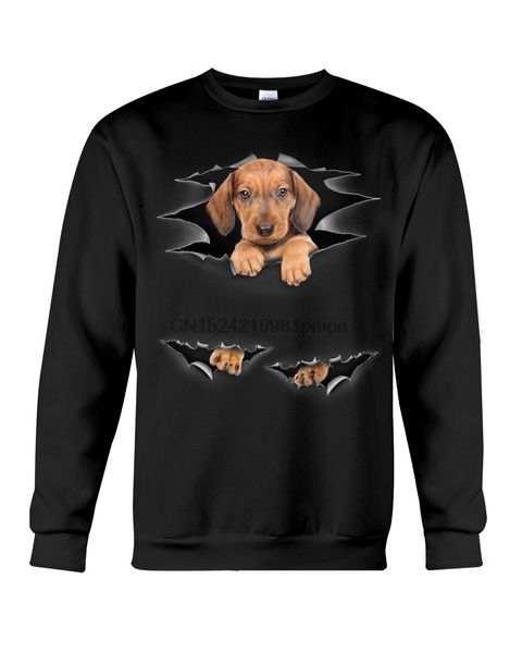 

sport men t shirt dachshund - torn(37) women tshirts