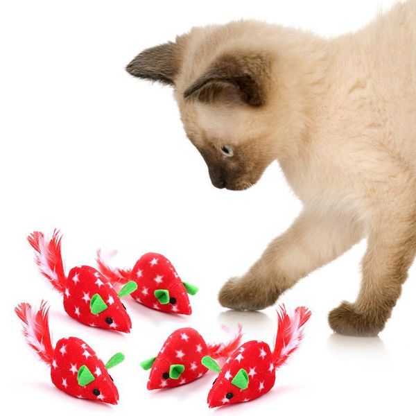 

5pcs cute cat toys plush fur toy catnip mouse pet kitten funny rat feather plush little mouse interactive toy for c qylpwd