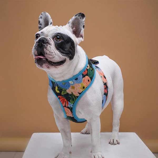

cute printed chihuahua french bulldog harness adjustable puppy cat harness pet small dog vest for pug yorkie walking bbyxfu