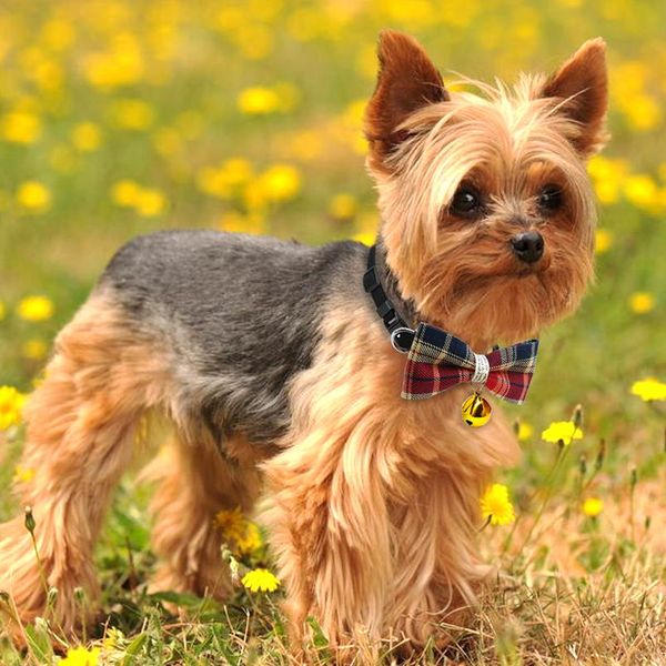 

cute plaid bow tie cat collar with bell breakaway small dog puppy kitten collars adjustable safety pet accessories for c wmtomg