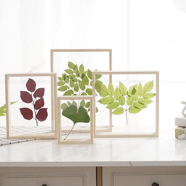 

frames wooden creative double-sided glass plant specimen po frame log color transparent
