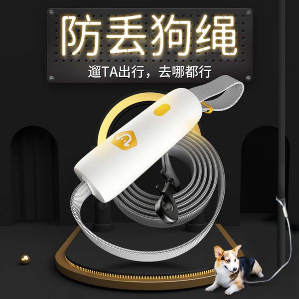 

pet products new small and medium sized leash elastic rope corgi dog chain