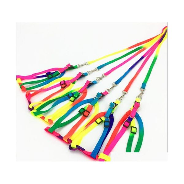

colorful dog harness leash nylon adjustable pet dog collar puppy cat animals supplies accessories products necklace rope tie collar a1ems