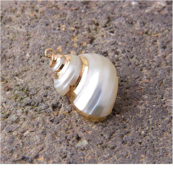 

22*14-26*16 mm 5 pcs natural spiral shell charm pendants conch at random gold for jewelry making diy necklace bracelet jllbsf, Black