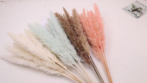 

30p камыш natural сушеного малых пампасы трава рнг главной новогоднее украшение поделка высушенного букет цветочная композиция