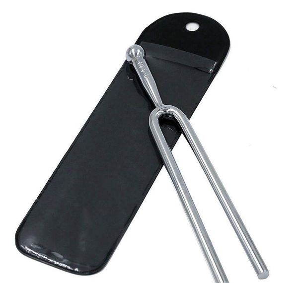

tuning fork with soft shell case, stan bbysev garden2010
