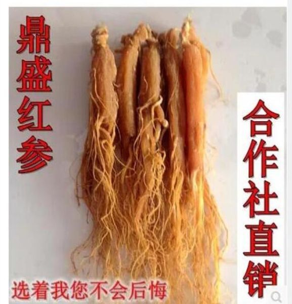 

fleece flower root extract immunity black hair efficacy 101 strong bones and muscles kidney fleece flower root qylypb mywjqq