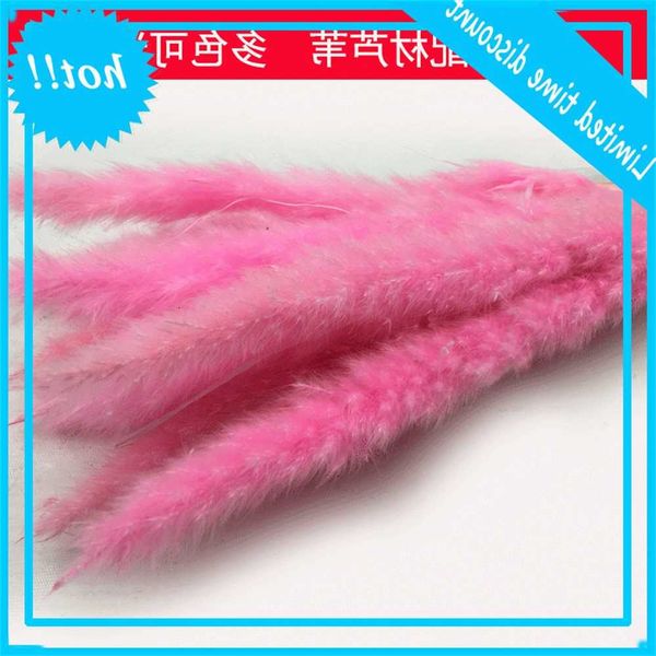 

immortal diy matching material wedding set dry rose reed keep fresh flower