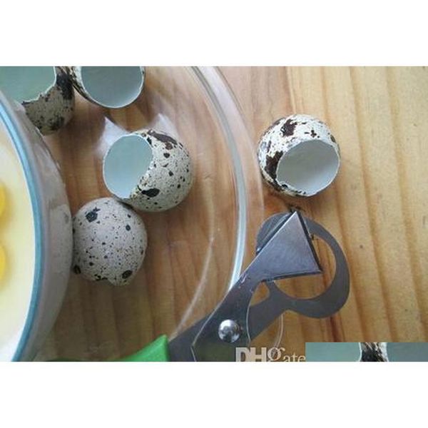 

500pcs pigeon quail egg scissor stainless steel bird cutter opener kitchen too jllpmj mywjqq