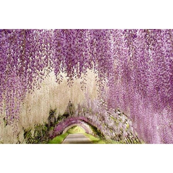 

1.1 meter long elegant artificial silk flower wisteria vine rattan for wedding centerpieces decorations bouquet garl sqcrks home_hot