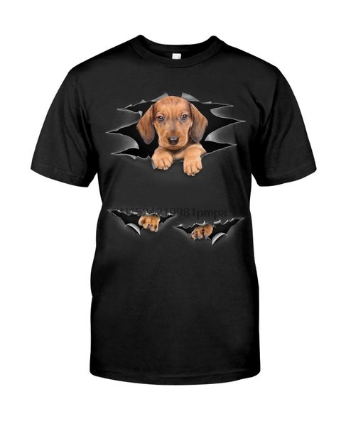 

men t shirt dachshund - torn 10 tshirts sport hooded sweatshirt hoodie