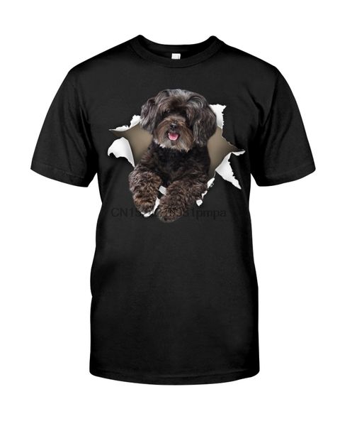 

sport men t shirt schnoodle - torn(10) women tshirts