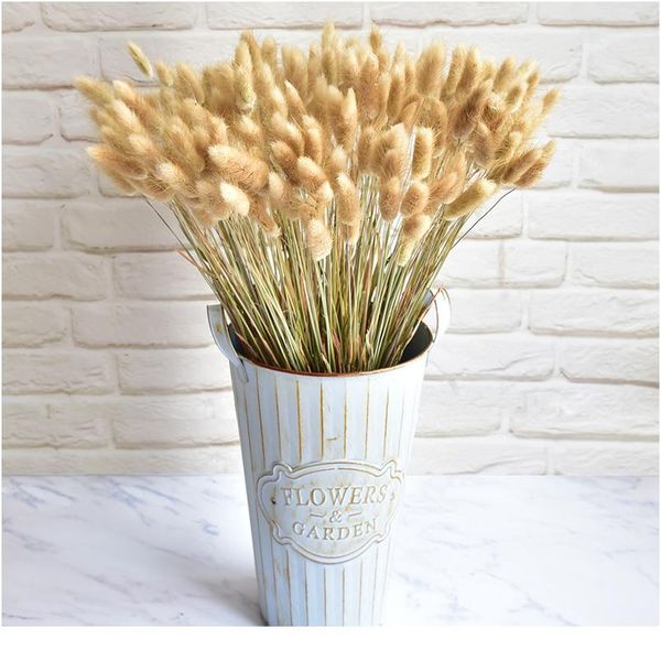 

30/60 шт. натуральные высушенные цветы кролик хвост травы пучок красочные лагуру оватский реальный цветочный букет для домашней свадьбы de w