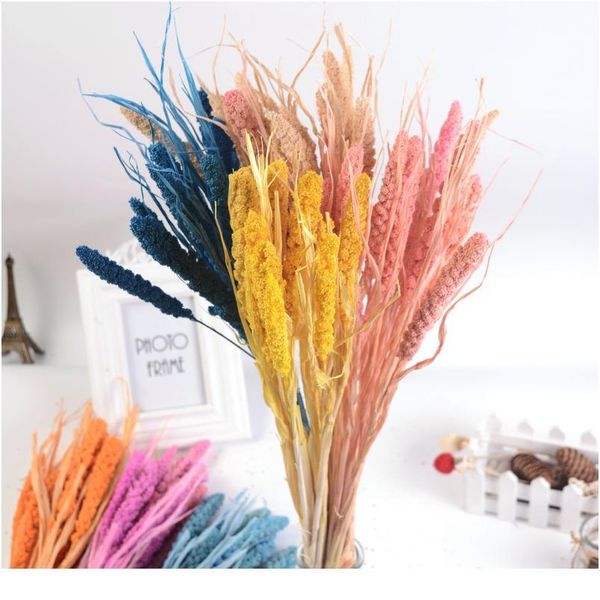 

10pcs natural dried flower grain artificial flower decorative bouquet for home wedding table decoration diy wreath fak jllfxu