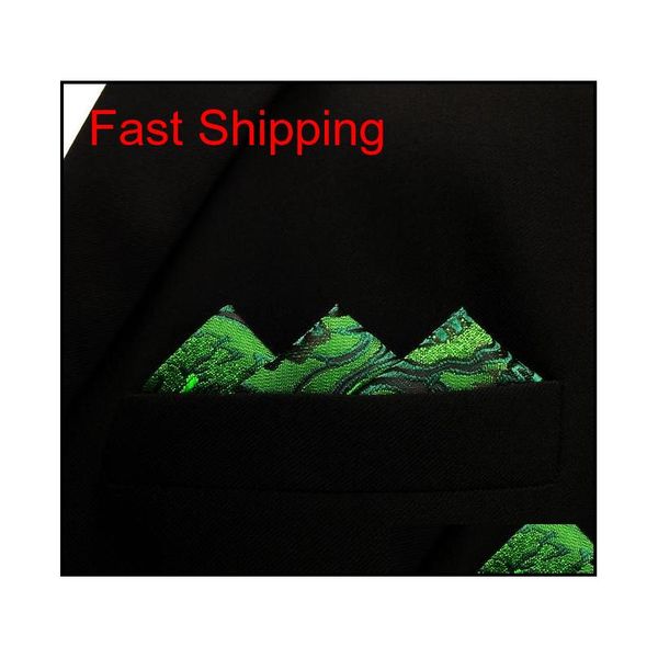 

uh30 paisley dark green black pocket square mens necktie qyljay queen66, Blue;white