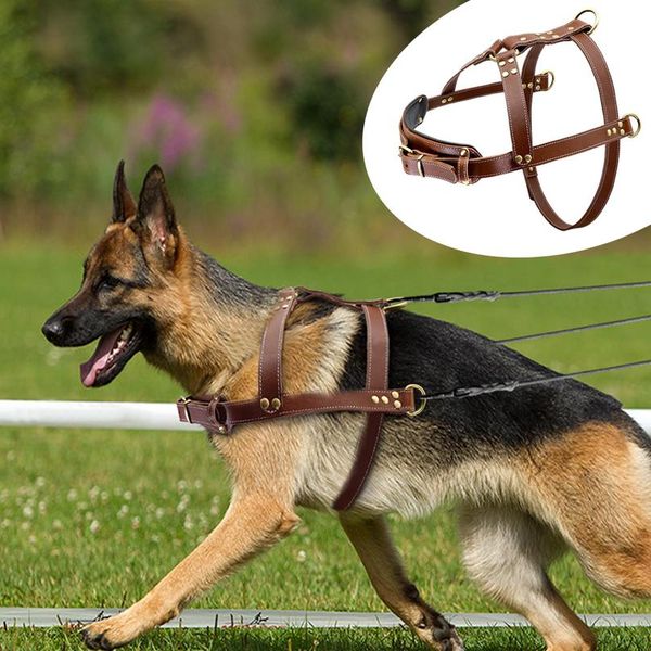 

pet large dog harness leather k9 pitbull big dog harness vest adjustable for medium large dogs bulldog rottweiler labr jllzen