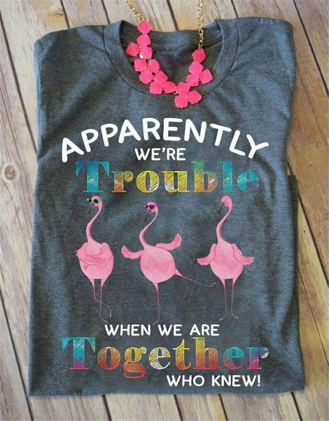 

apparently we're trouble when we are together who knew shirt, flamingo funny cool gift personality sport hooded sweatshirt hoodie t shi