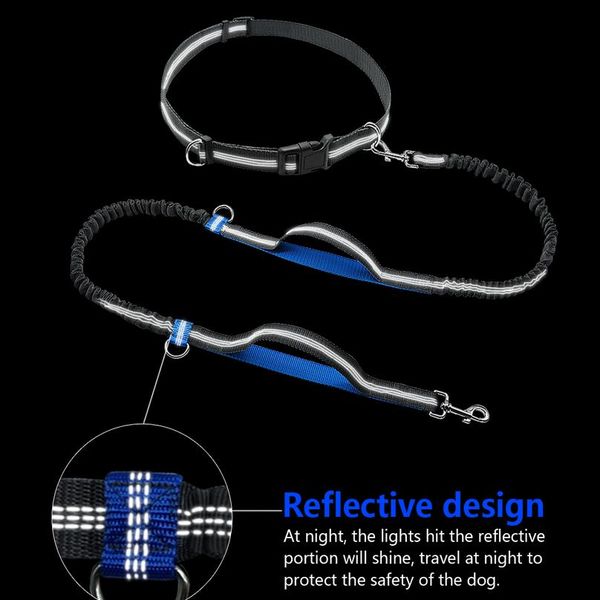 

retractable hands dog leash for running dual handle bungee leash reflective for up to 150 lbs large dogs bag d bbyann